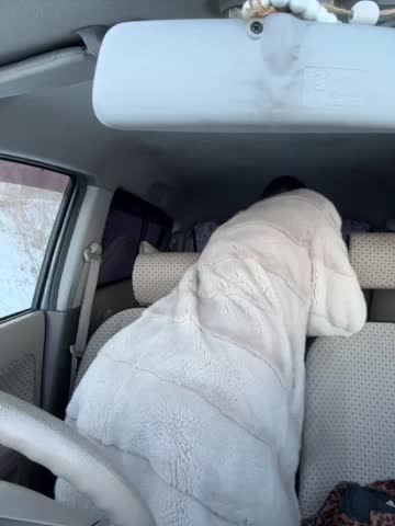 HOT_honey Приват Записи 2026-02-04