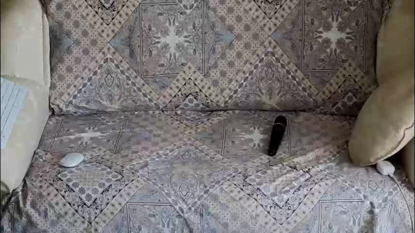 klitores Приват Записи 2026-02-04