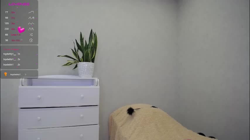 arinamir Приват Записи 2026-02-04