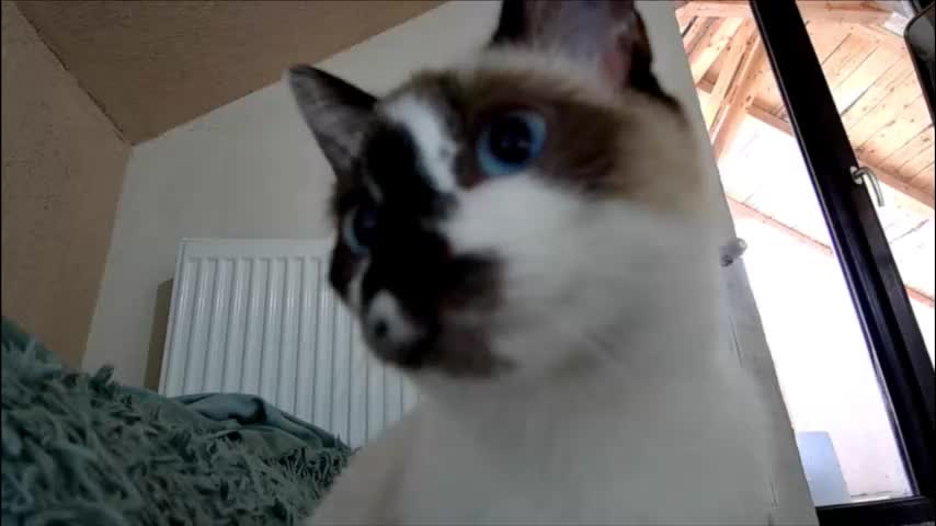 anaworld69 Приват Записи 2026-02-04