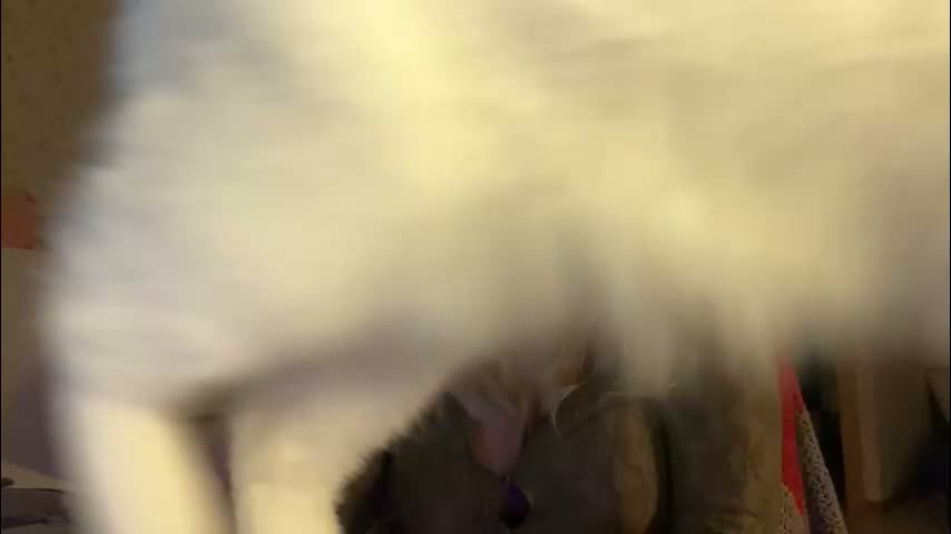 fairydreams_ Приват Записи 2026-02-05