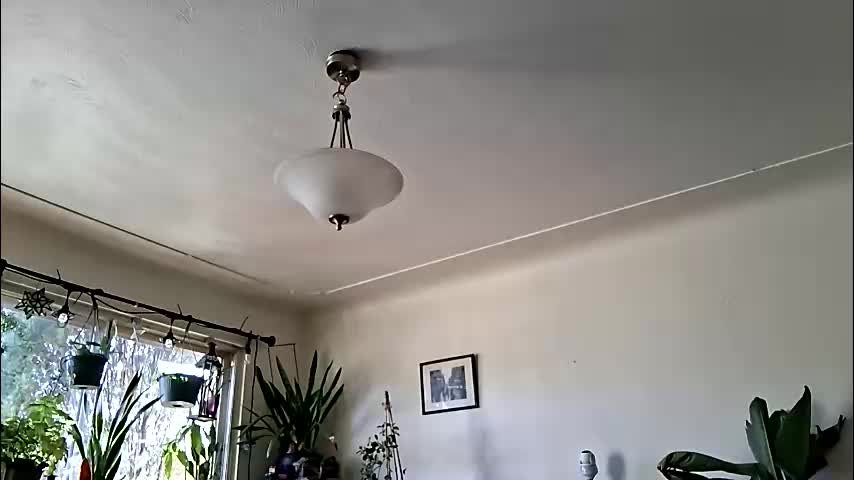 lacybell Приват Записи 2026-02-06