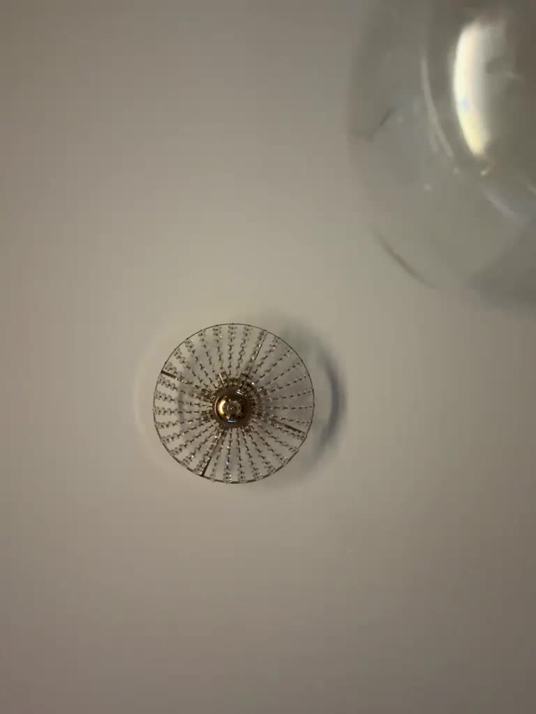 seilyfox Приват Записи 2026-02-07