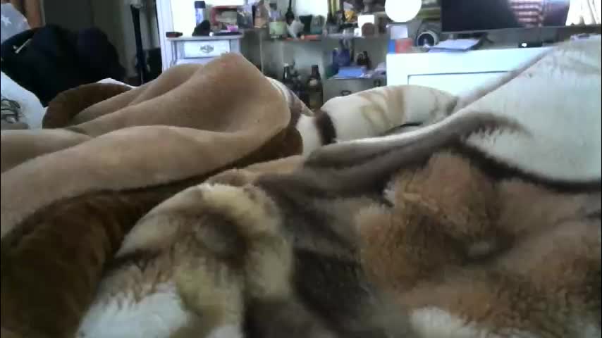 ebonyendebeest Приват Записи 2026-02-07