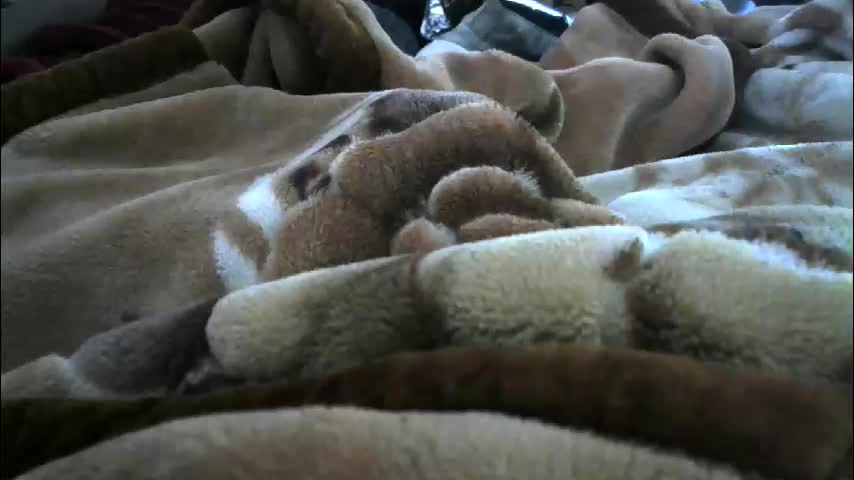 ebonyendebeest Приват Записи 2026-02-07