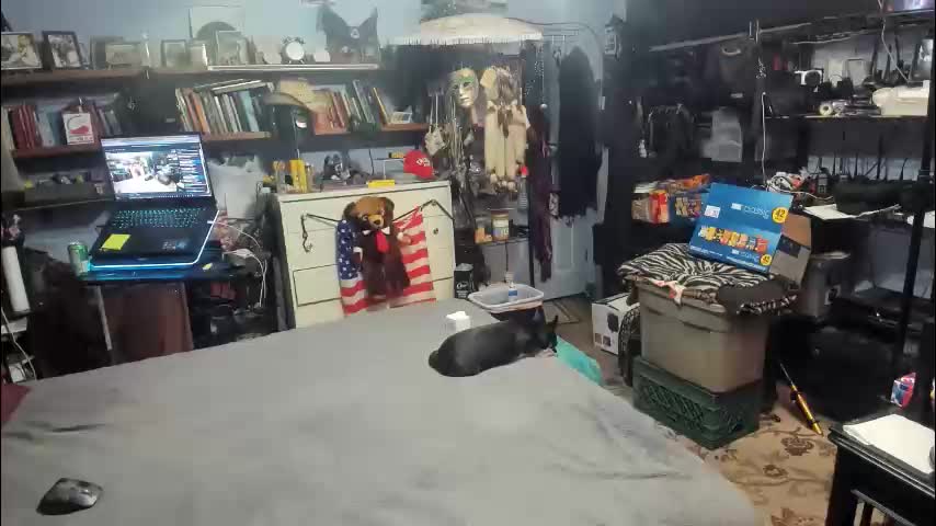 pink_black Приват Записи 2026-02-07