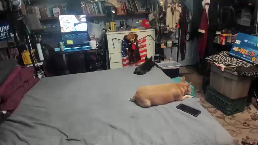 pink_black Приват Записи 2026-02-07