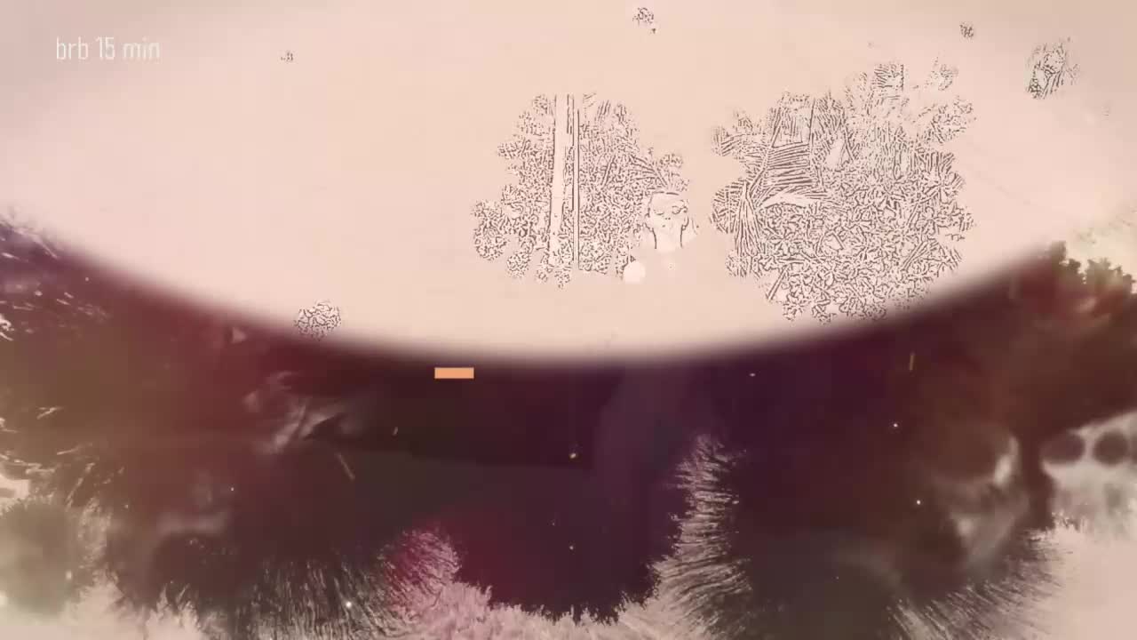 Taanni Приват Записи 2026-02-07