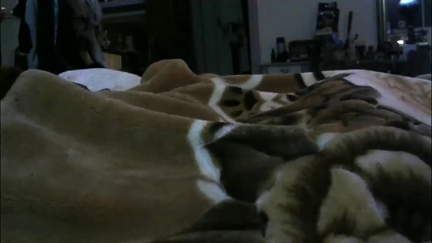 ebonyendebeest Приват Записи 2026-02-08