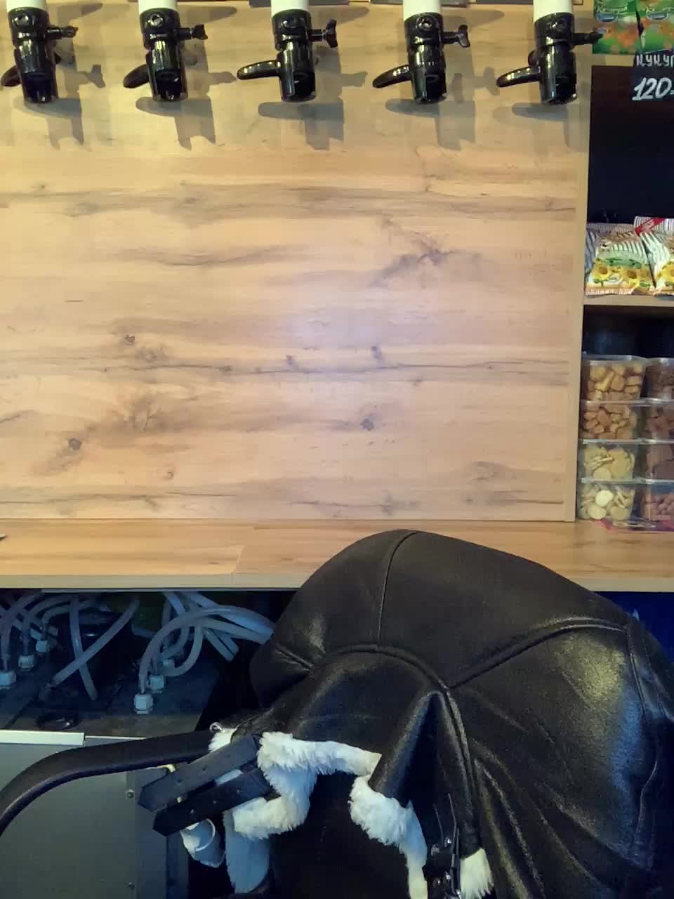 Yummypopka Приват Записи 2026-02-08