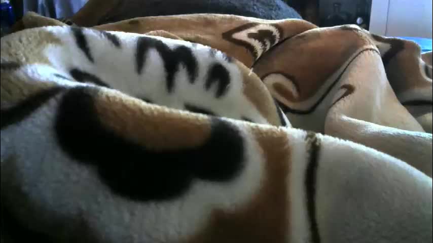 ebonyendebeest Приват Записи 2026-02-08