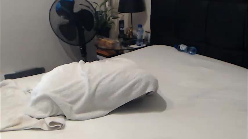 passiekoppel Приват Записи 2026-02-08