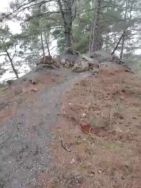 Alex80-201 Приват Записи 2026-02-09