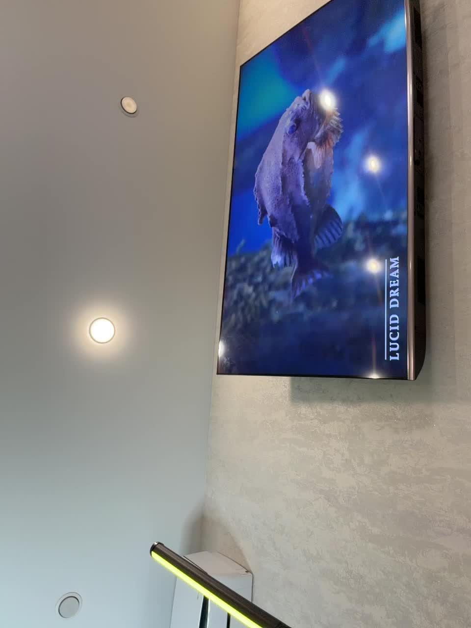 _Ellidi_ Приват Записи 2026-02-09