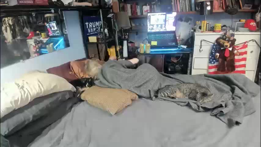 pink_black Приват Записи 2026-02-10