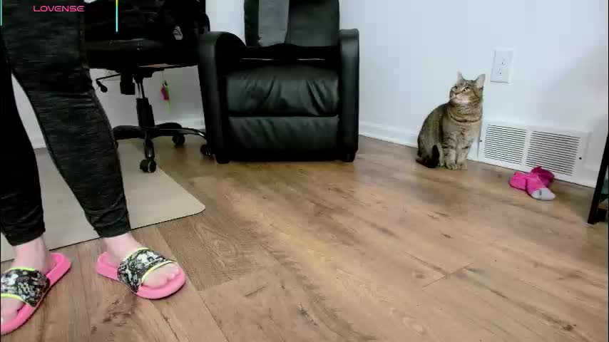 jjjust4fun1985 Приват Записи 2026-02-10