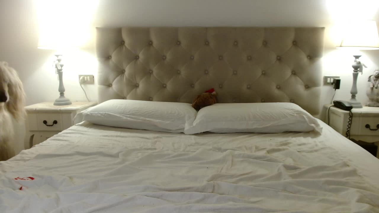 Sweet_Perry Приват Записи 2026-02-10