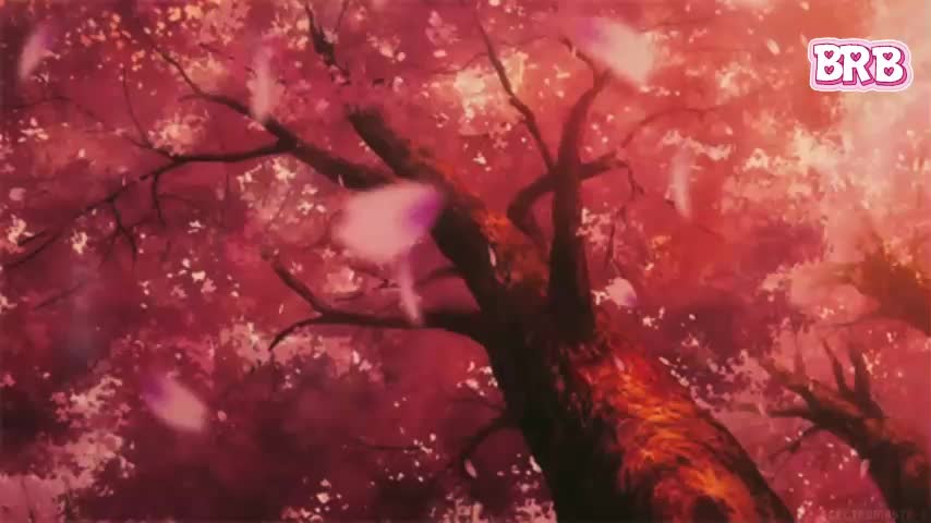 Akiame Приват Записи 2026-02-10