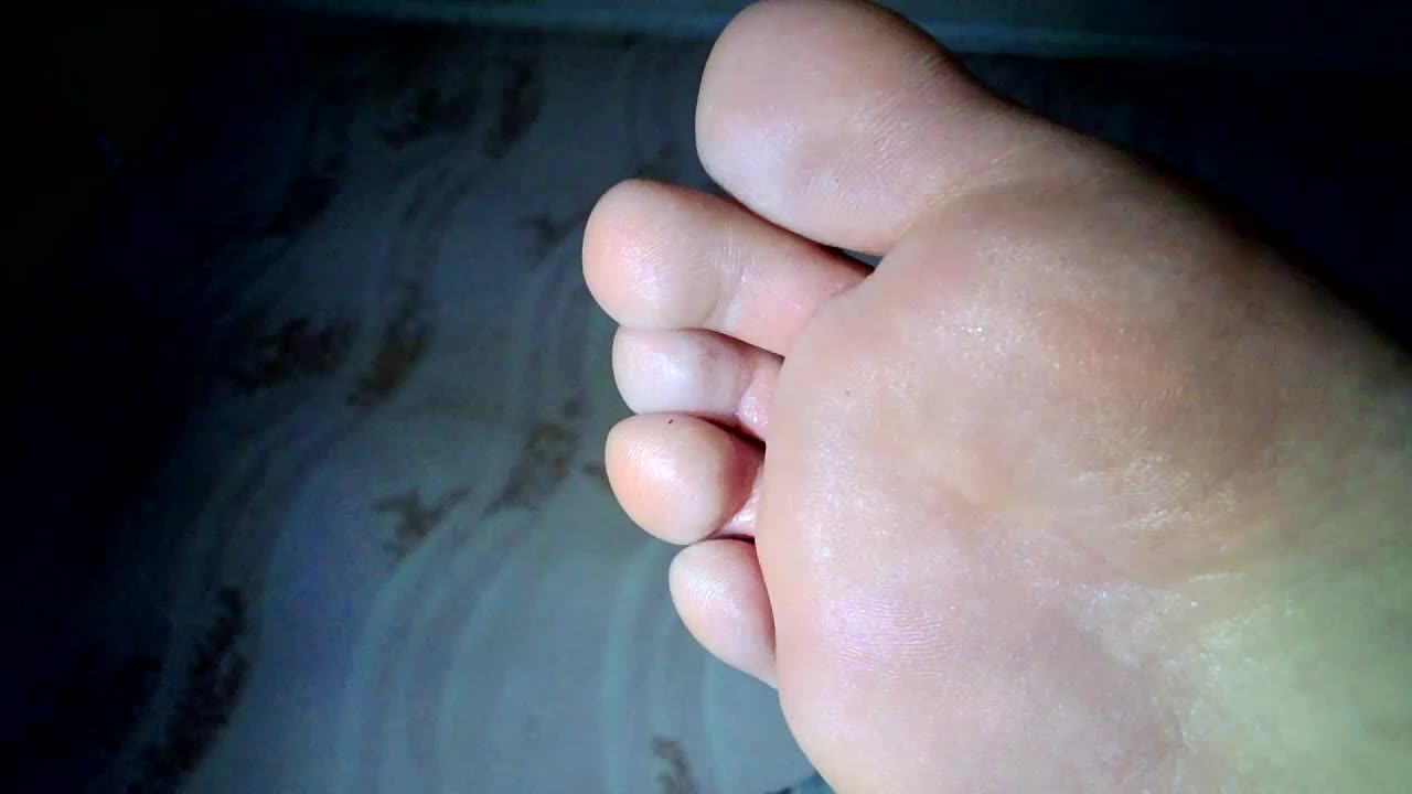 ReversoContex Приват Записи 2026-02-10