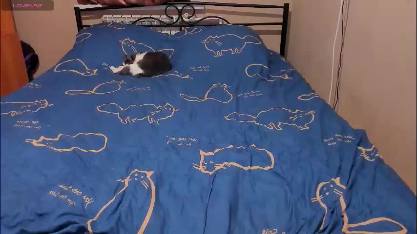 eva_zero Приват Записи 2026-02-11