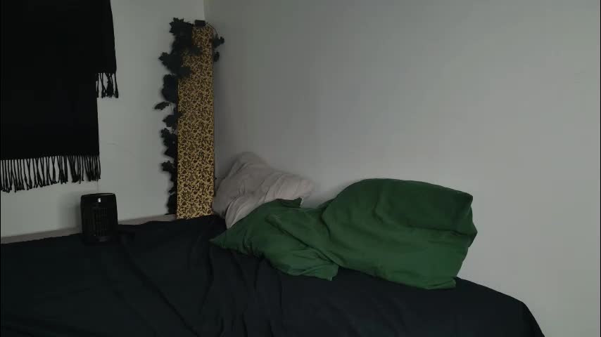 jackdesfeux Приват Записи 2026-02-11