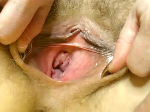 Marina-lady Приват Записи 2026-02-11