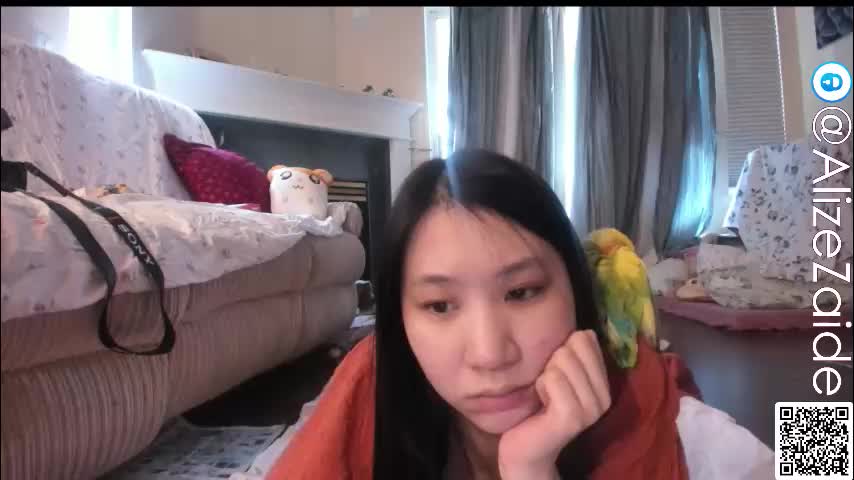 alizezaide Приват Записи 2026-02-11