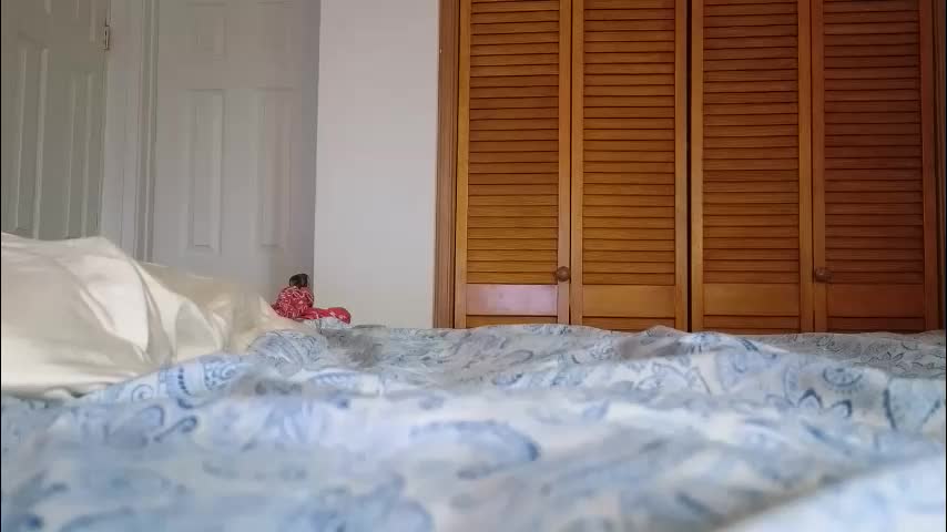 lovelace390 Приват Записи 2026-02-11