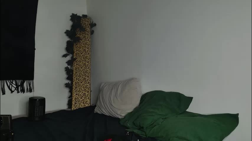 jackdesfeux Приват Записи 2026-02-11