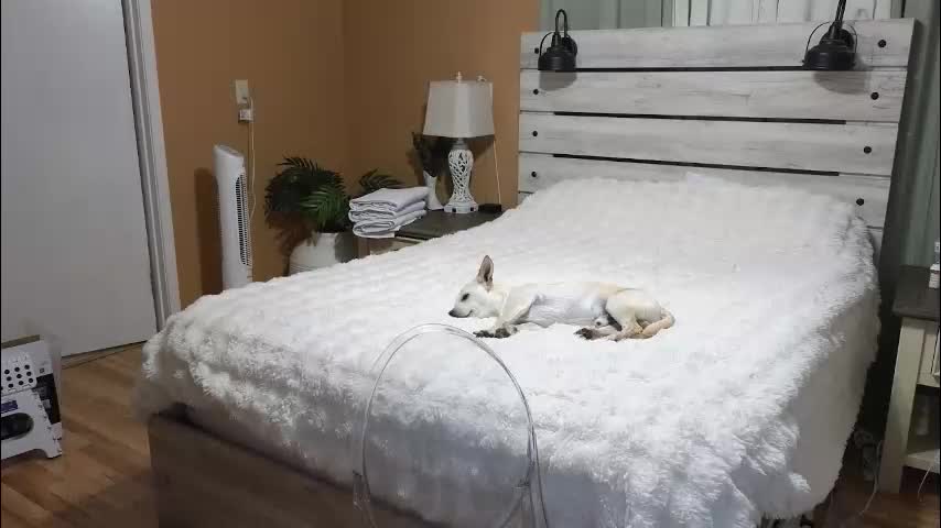 julianaxxxrose Приват Записи 2026-02-11