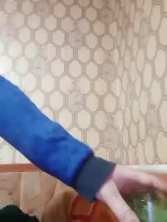 Calibriya Приват Записи 2026-02-11