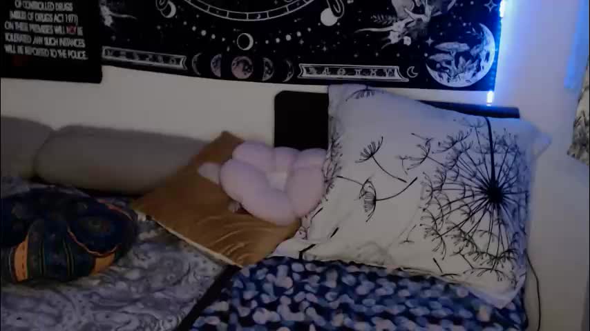 aliens4twenty Приват Записи 2026-02-11