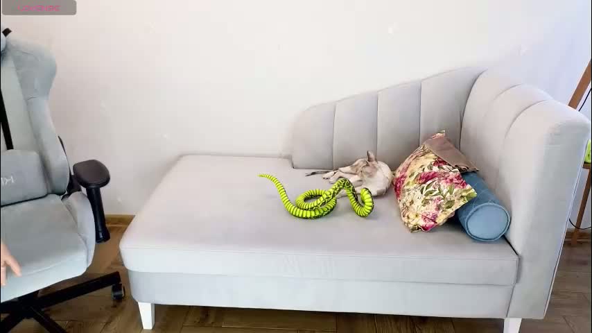 gardner_ava Приват Записи 2026-02-11