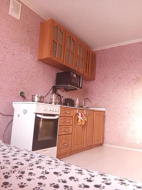 exnasisi Приват Записи 2026-02-12