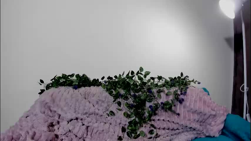 vergill_hella Приват Записи 2026-02-12