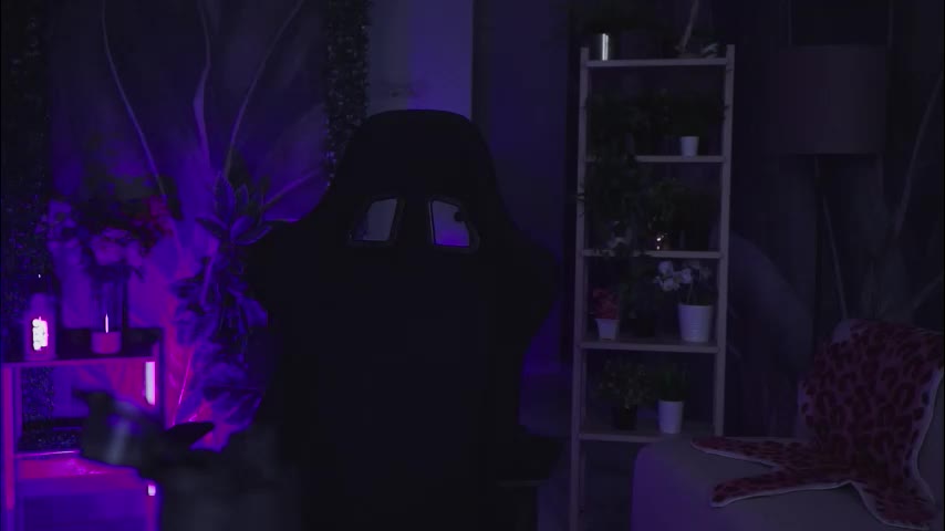 asheluck Приват Записи 2026-02-12