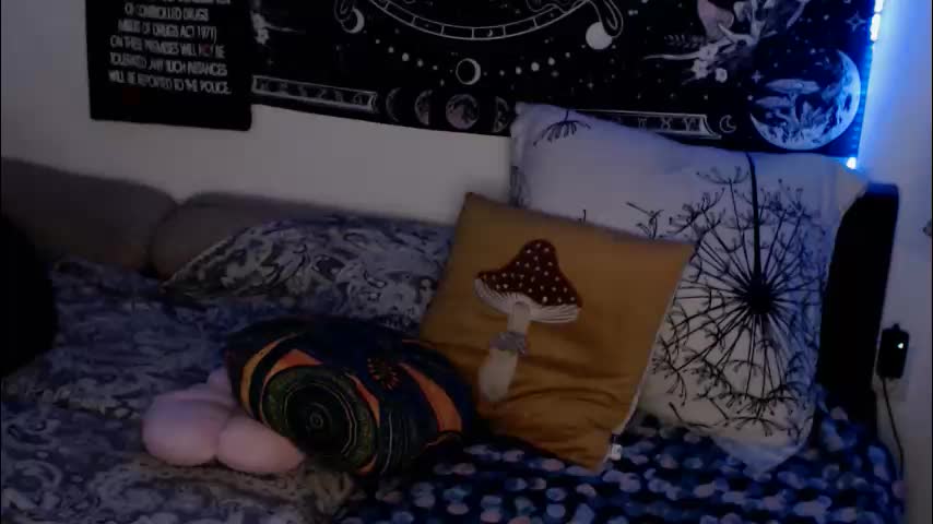 aliens4twenty Приват Записи 2026-02-13