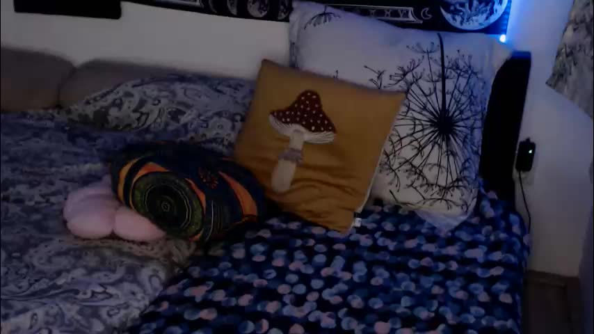 aliens4twenty Приват Записи 2026-02-13