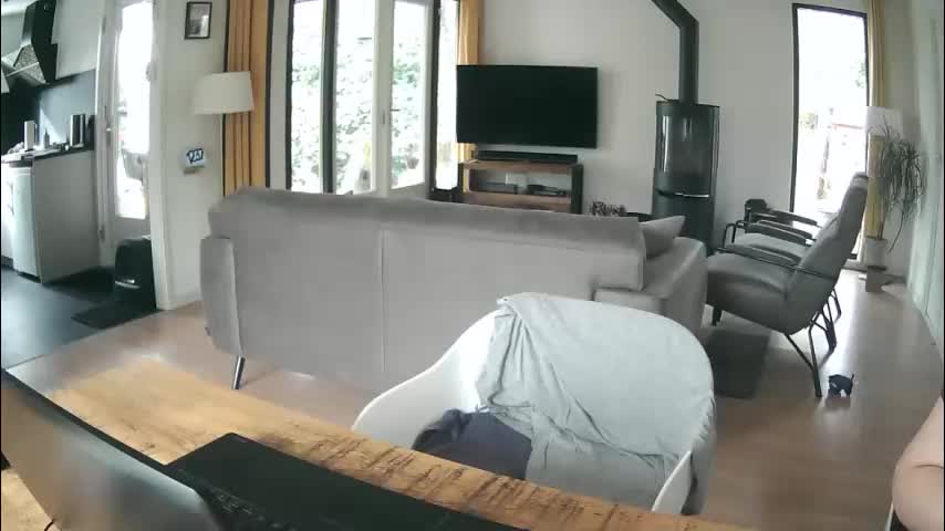 woodwurm Приват Записи 2026-02-13