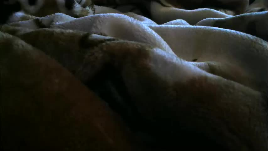 ebonyendebeest Приват Записи 2026-02-14