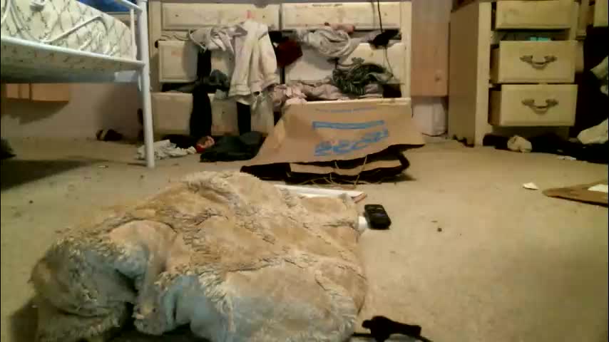 queenkourt Приват Записи 2026-02-14