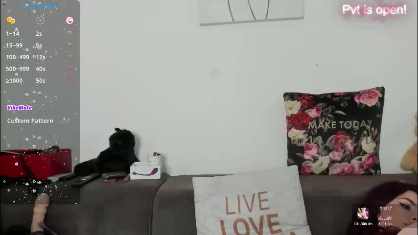 sas4a Приват Записи 2026-02-14