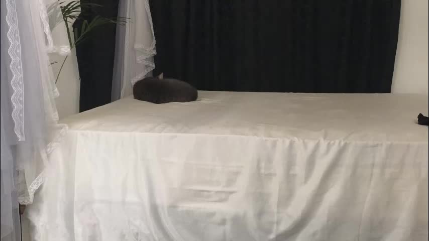 xxxvandersexxx Приват Записи 2026-02-15