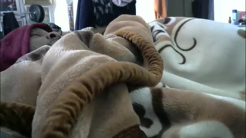 ebonyendebeest Приват Записи 2026-02-15