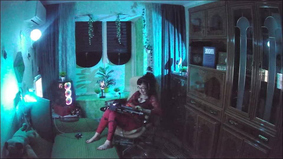 Infodar Приват Записи 2026-02-15