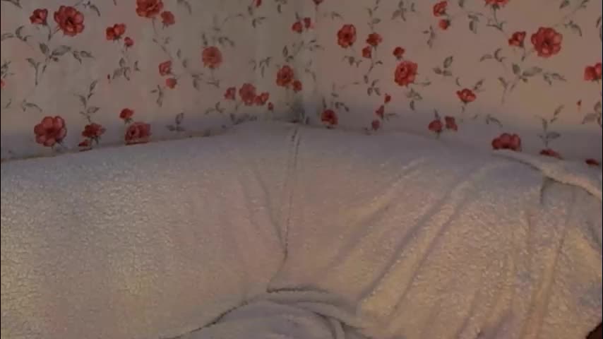 skysupernova Приват Записи 2026-02-16