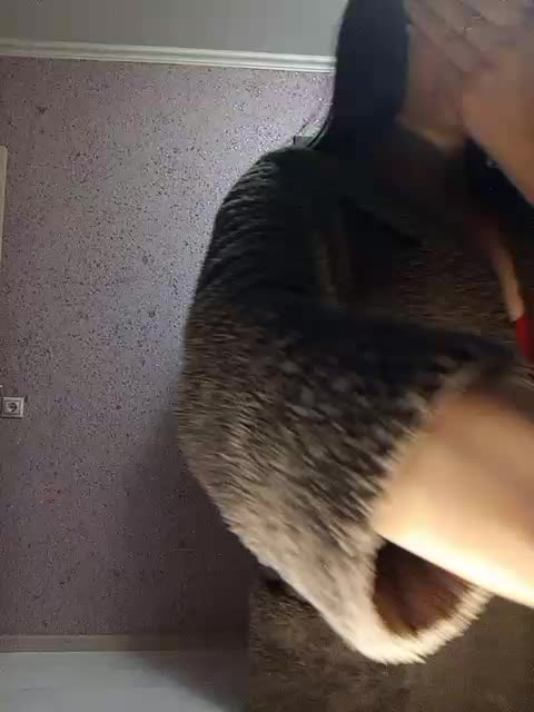 exnasis Приват Записи 2026-02-16