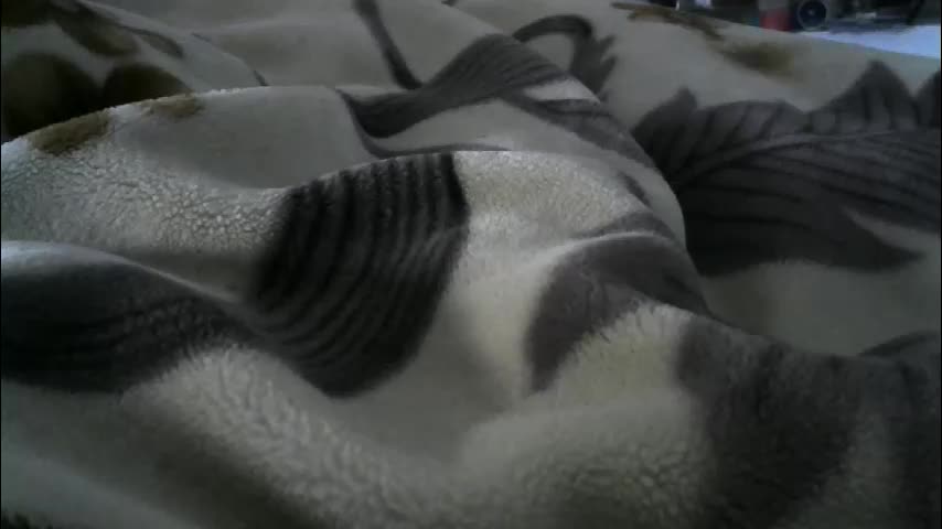 ebonyendebeest Приват Записи 2026-02-16