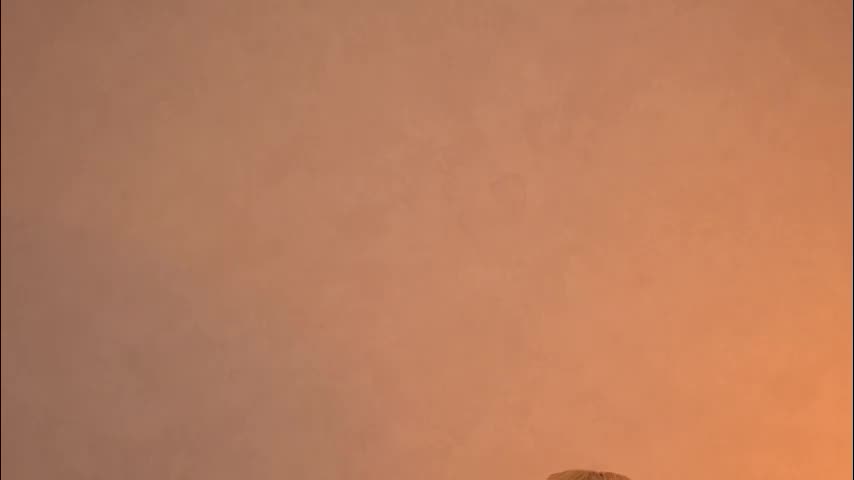 butteflai Приват Записи 2026-02-16