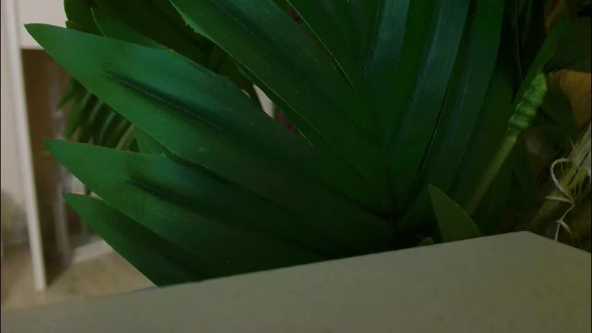 imcarrieberry Приват Записи 2026-02-17